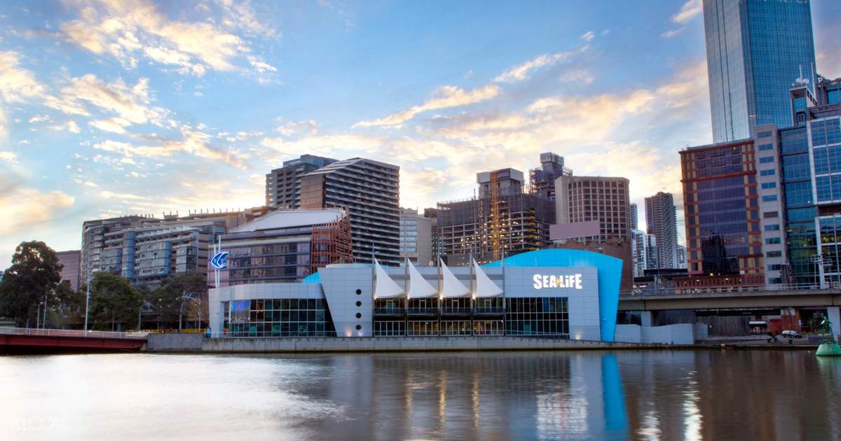 SEA LIFE Melbourne Aquarium Ticket Klook Australia